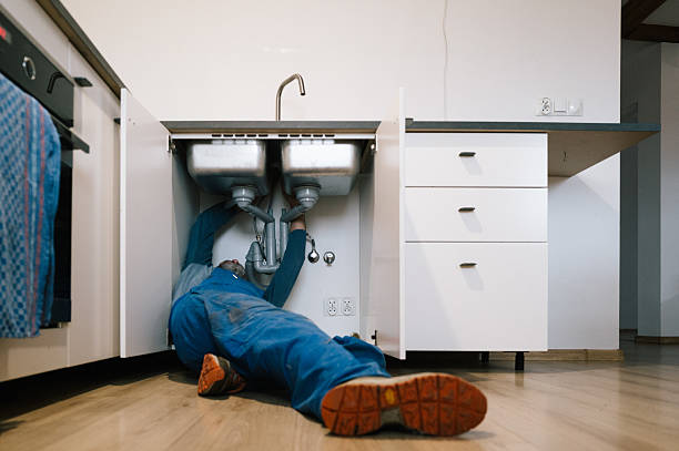Professional Emergency Plumber technician working in Pine Island, MN